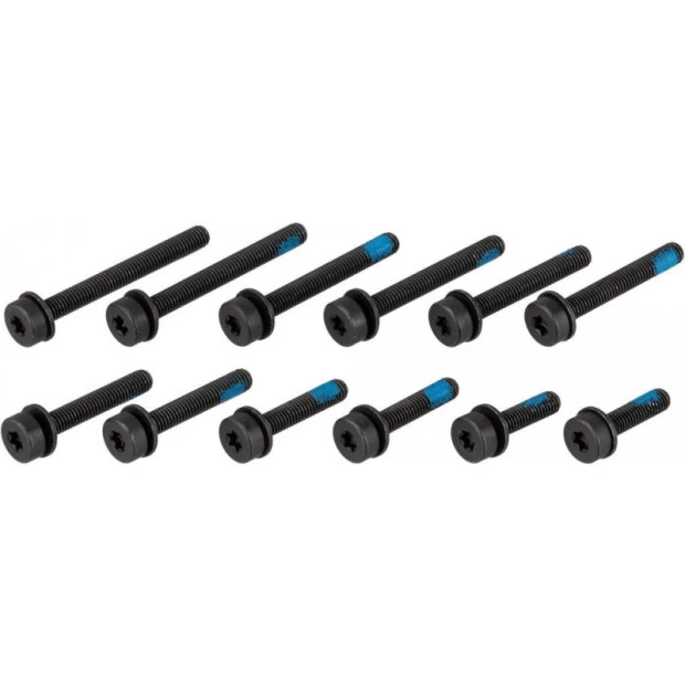 Vis Magura M5 Pour Montage Flatmount D'Etrier De Frein Arrière - X12 – Image 2